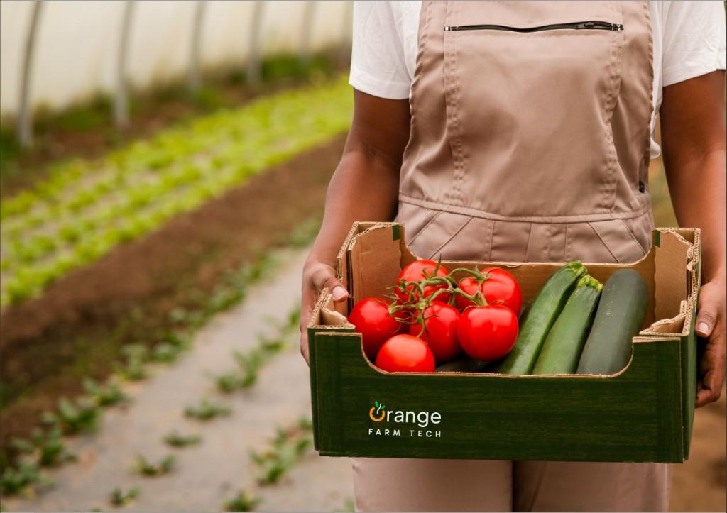 Branded produce box